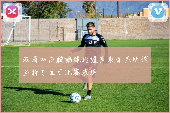 浓眉回应鹈鹕球迷嘘声表示无所谓坚持专注于比赛表现