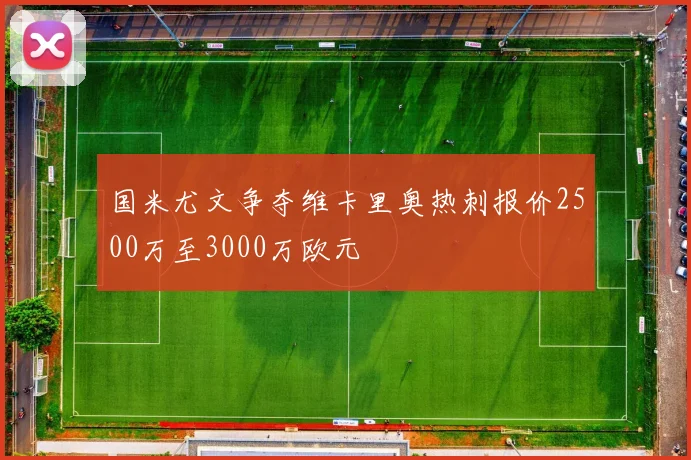 国米尤文争夺维卡里奥热刺报价2500万至3000万欧元