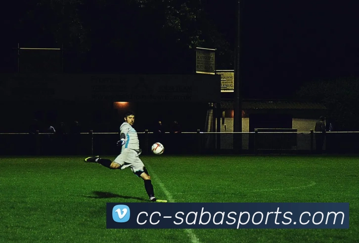 沙巴体育平台生态图